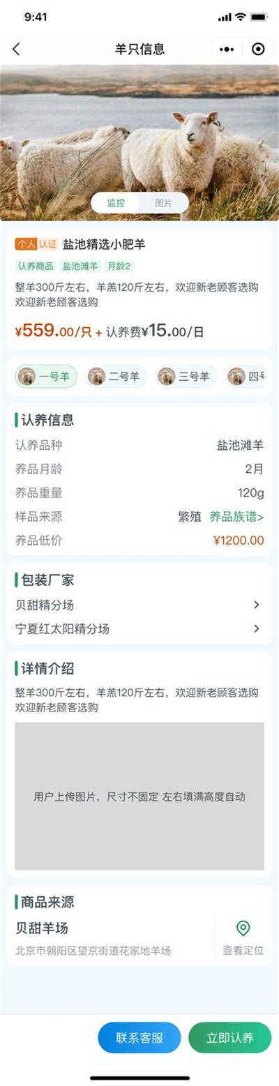 羊只详情:档案与实况