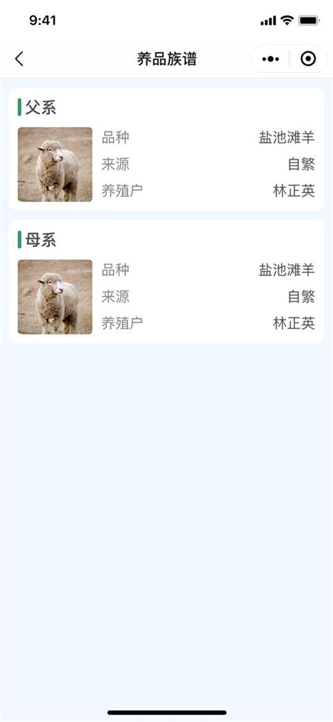 羊只档案:族谱