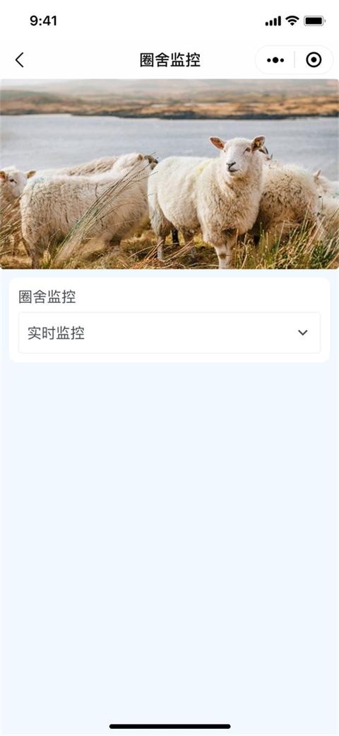 羊舍视频监控